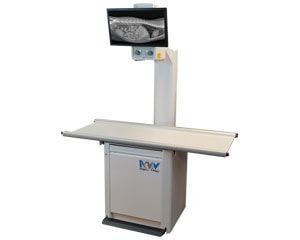 Digital X-Ray Systems