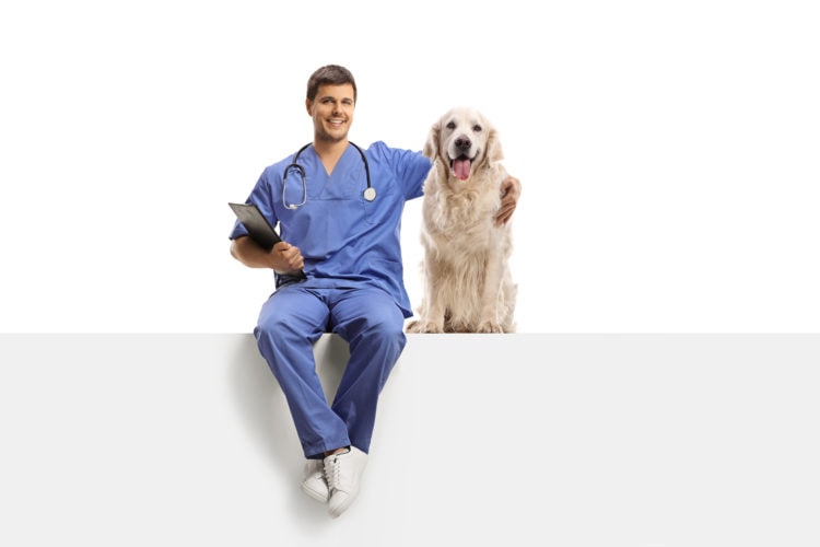 Veterinarian in a blue uniform sitting on a white panel and hugging a retriever dog